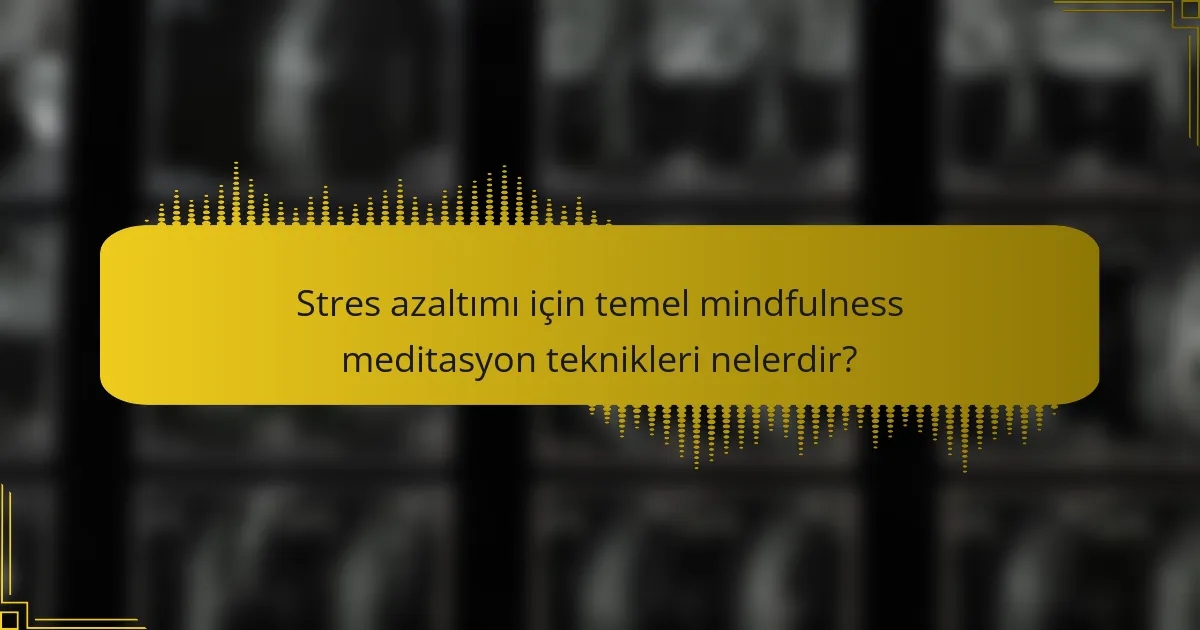 Stres azaltımı için temel mindfulness meditasyon teknikleri nelerdir?