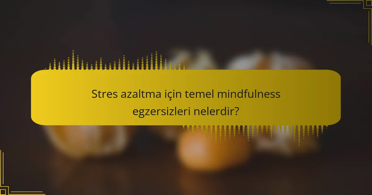 Stres azaltma için temel mindfulness egzersizleri nelerdir?