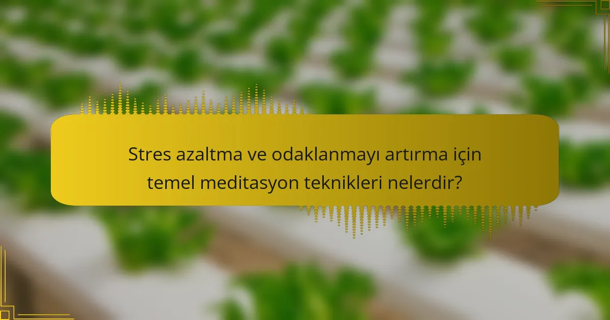 Stres azaltma ve odaklanmayı artırma için temel meditasyon teknikleri nelerdir?