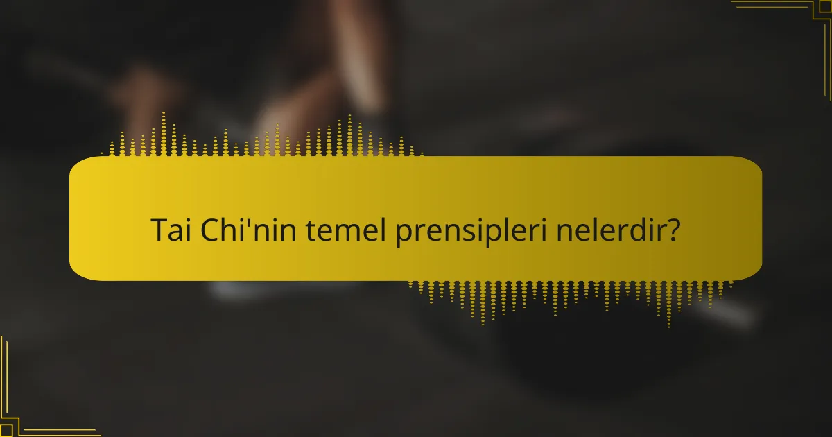 Tai Chi'nin temel prensipleri nelerdir?