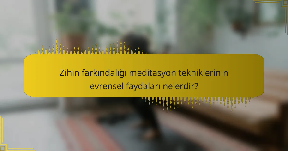 Zihin farkındalığı meditasyon tekniklerinin evrensel faydaları nelerdir?